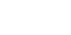 Protoflow wordmark